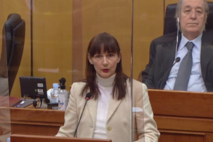 Vesna Vucčemilović