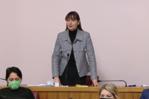 Vesna Vučemilović